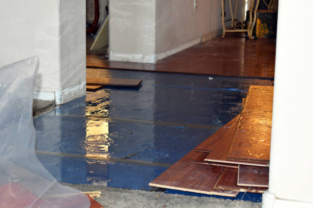 Professional Basement Flood Cleanup technician working in Bostwick, GA